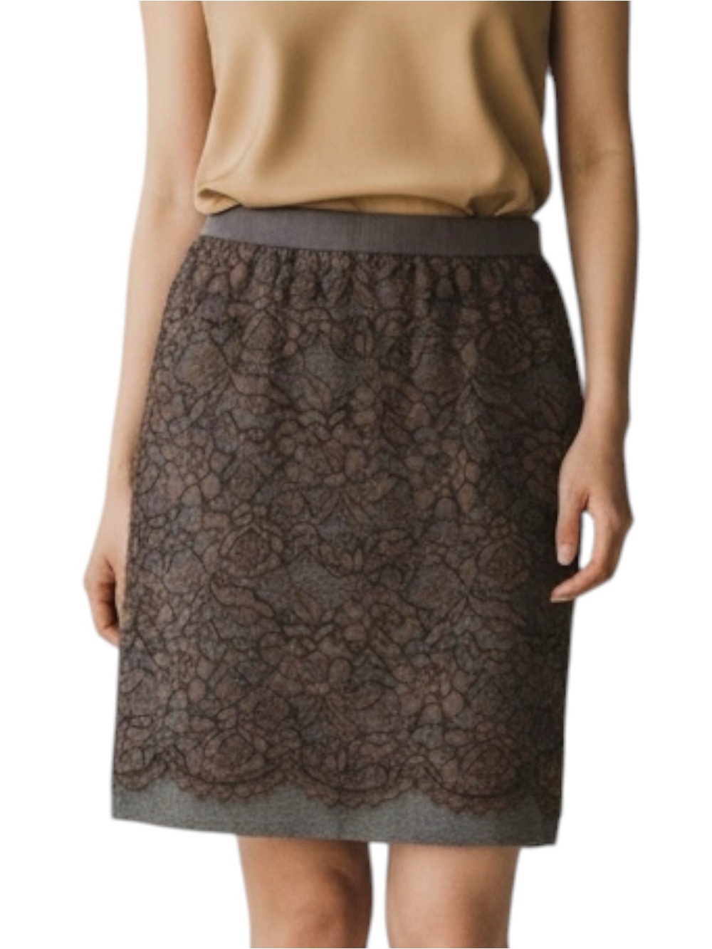 Loft Brown Gray Lace Pencil Skirt NWOT Size 6 CottageCore